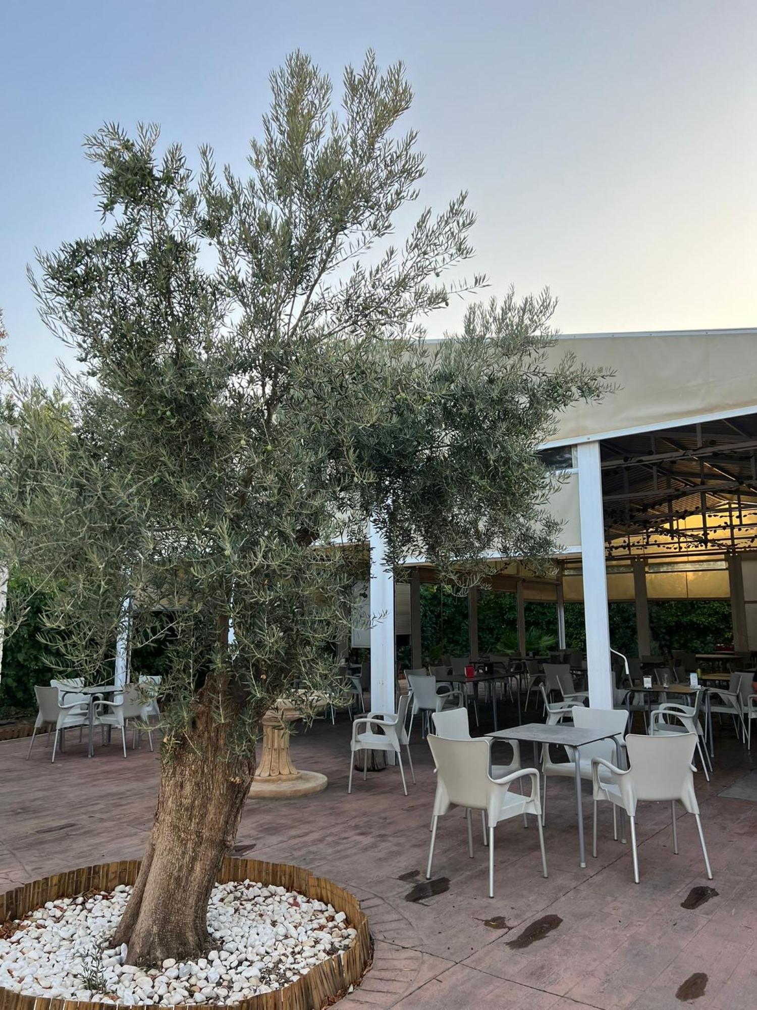 Pension Xiquena Finana المظهر الخارجي الصورة